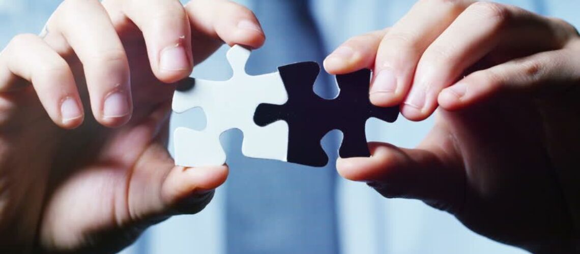 minority owner header minority owner header